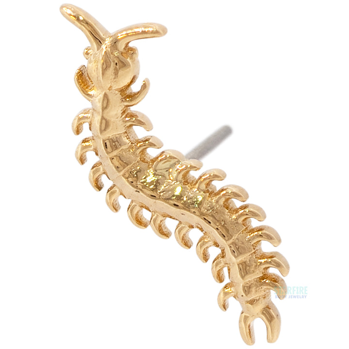 threadless: Centipede End in Gold