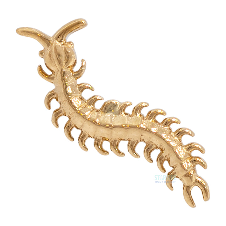 threadless: Centipede End in Gold