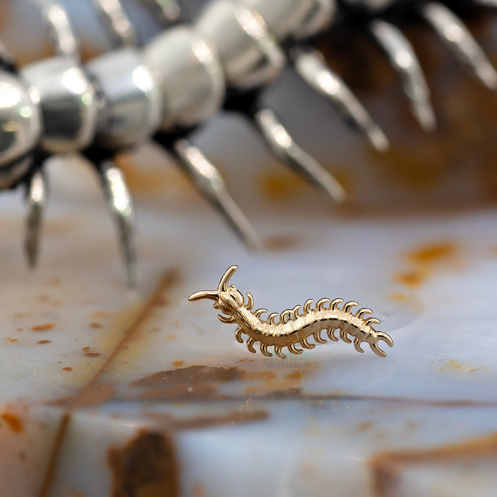 threadless: Centipede End in Gold