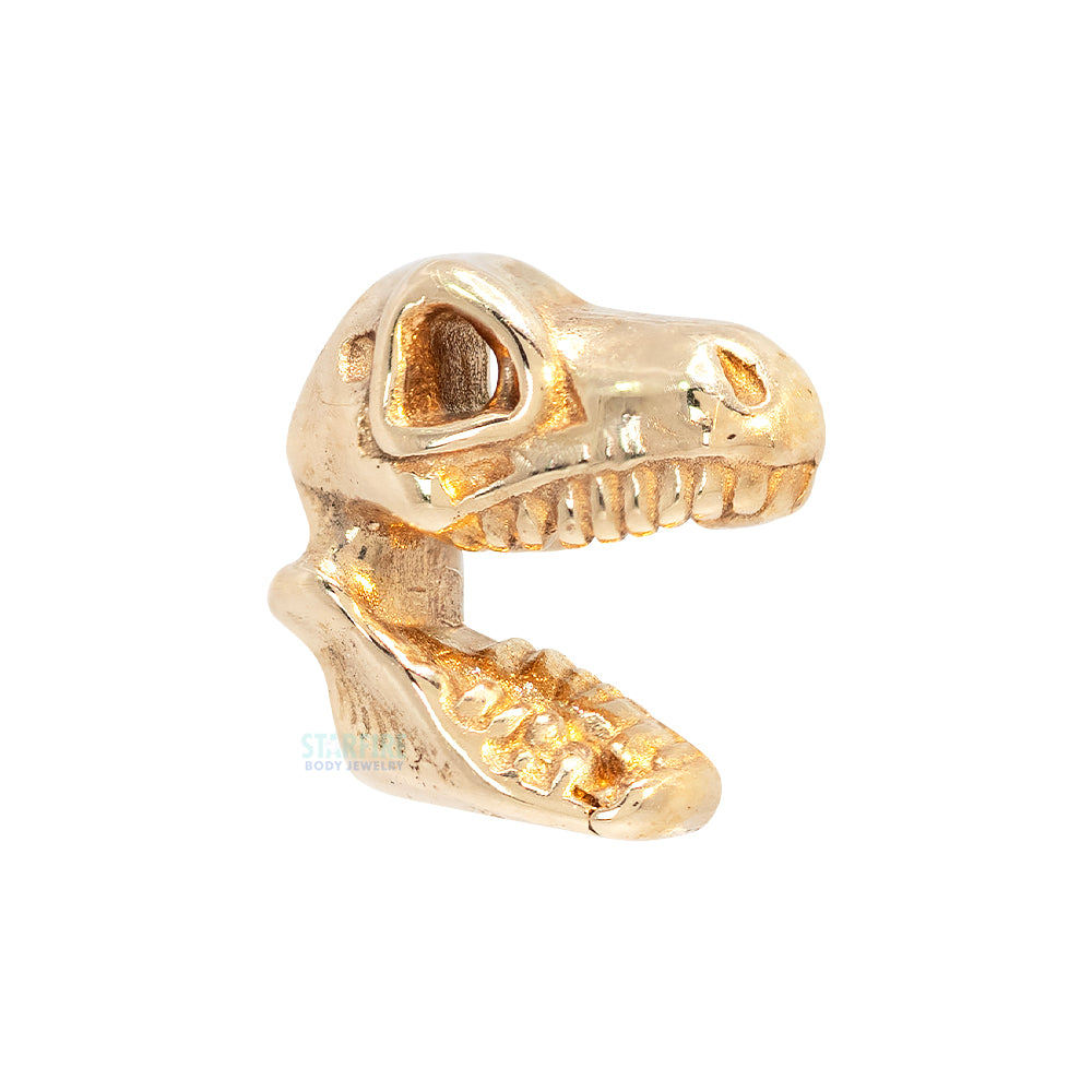 threadless: T-Rex Skull End in Gold