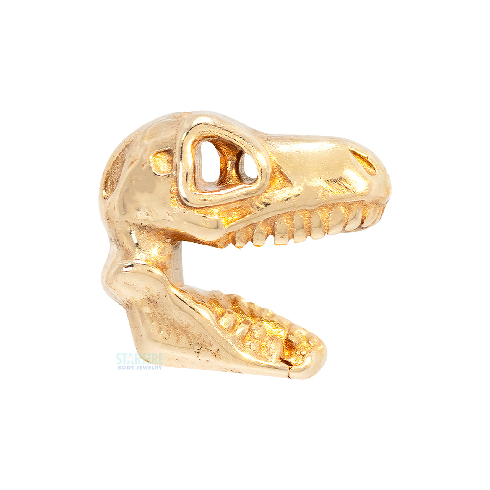 threadless: T-Rex Skull End in Gold