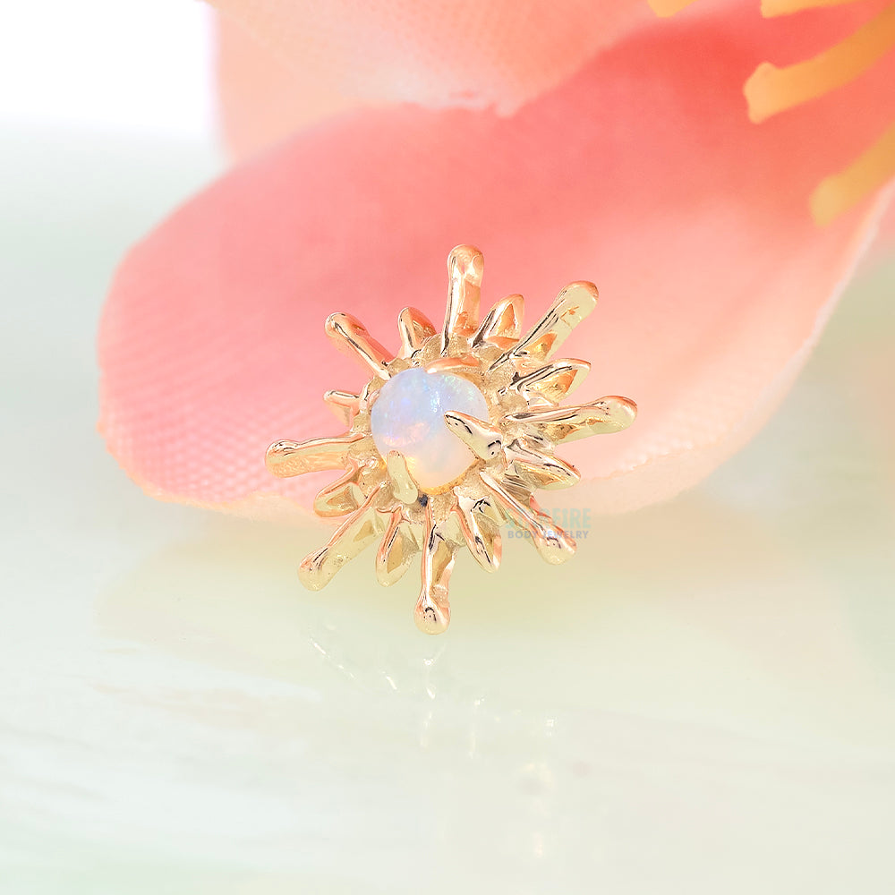 threadless: Starburst End in Gold with Opal Cabochon