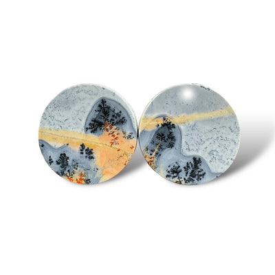 Stone Plugs - Dendritic Maligano Jasper