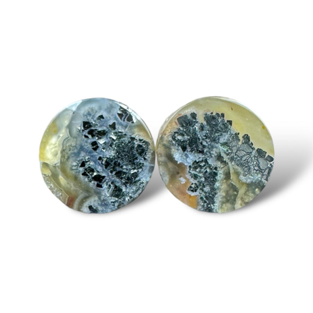 Stone Plugs - Marcasite in Agate