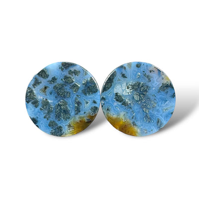 Stone Plugs - Marcasite in Agate