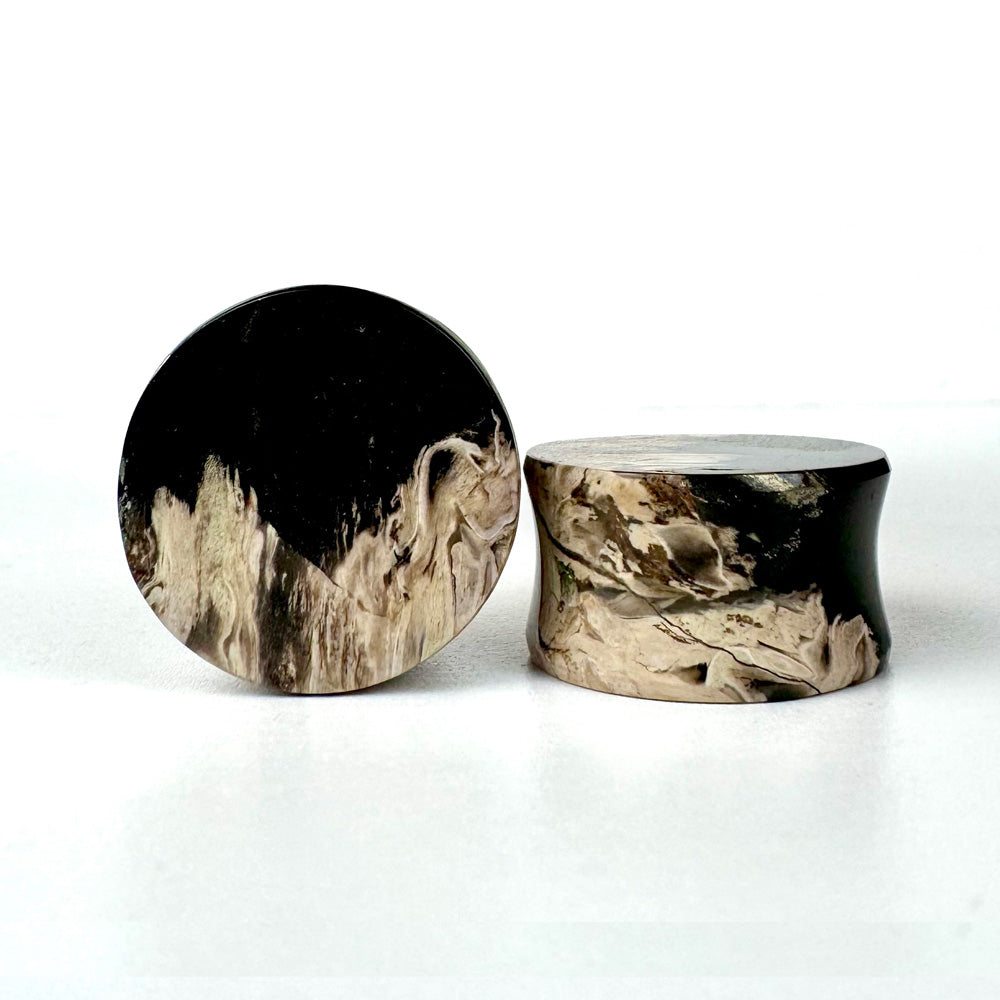 Stone Plugs - Petrified Palm Wood