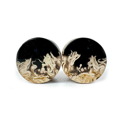 Stone Plugs - Petrified Palm Wood