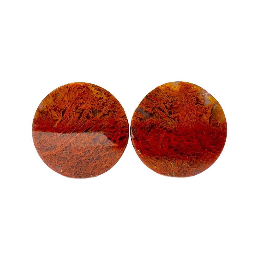 Stone Plugs - Red Moss Agate