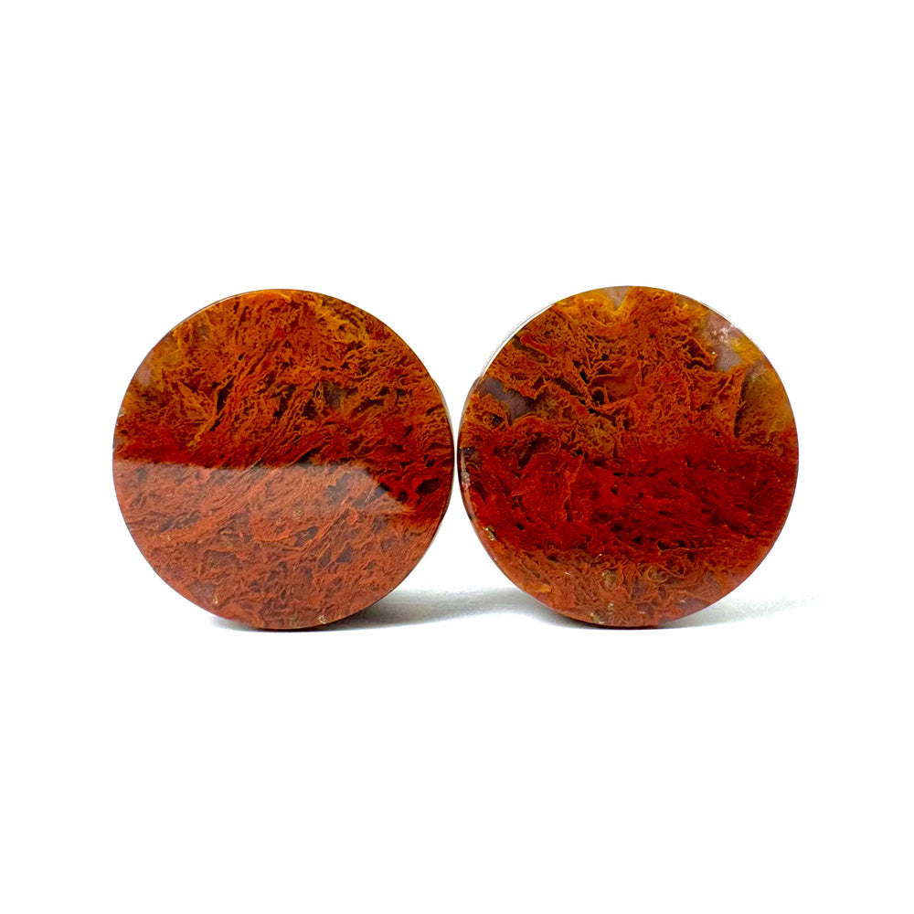 Stone Plugs - Red Moss Agate