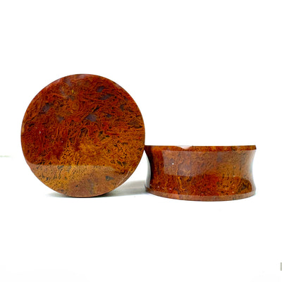 Stone Plugs - Red Moss Agate