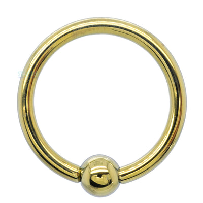 Titanium Captive Bead Ring (CBR) - YE – Yellow