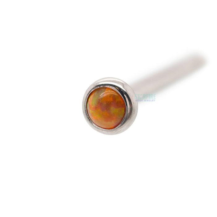 #opal-color_fo-fluorescent-orange