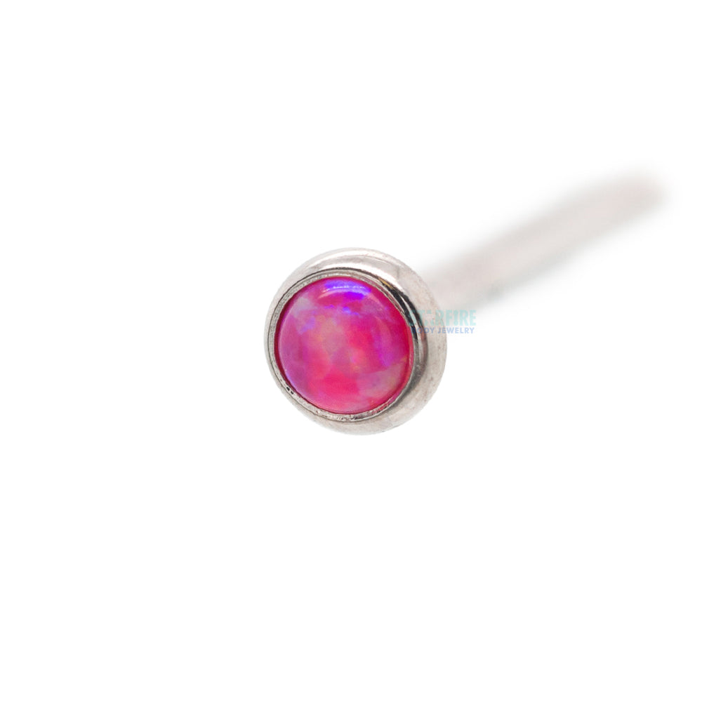 #opal-color_mi-mimosa
