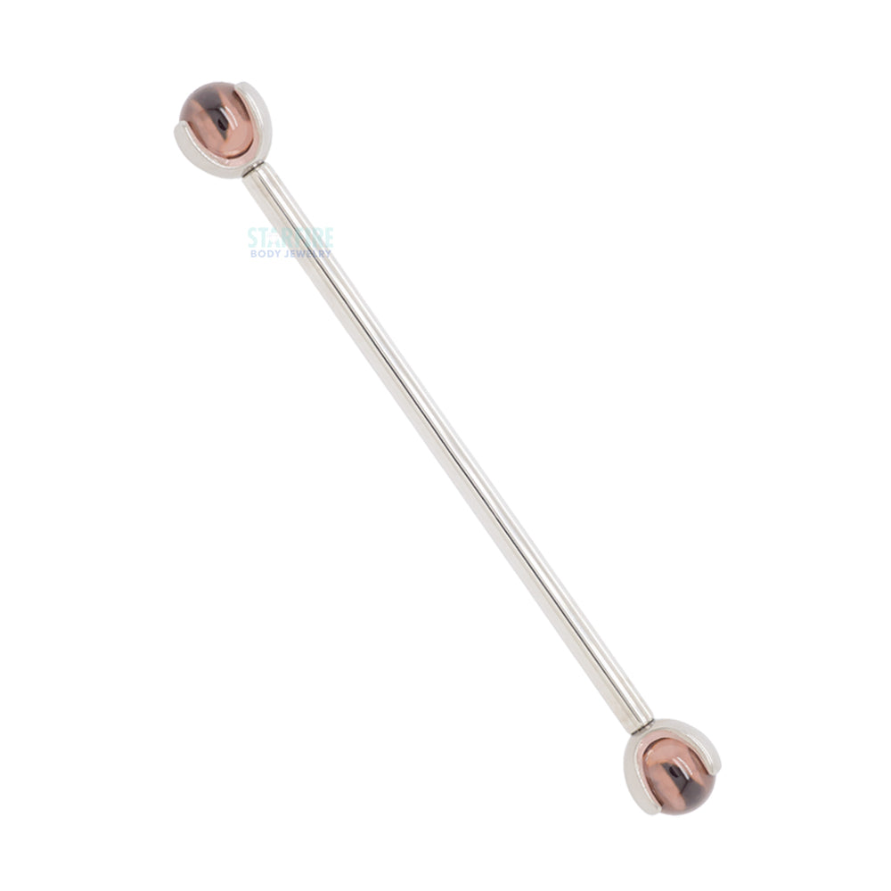 Ceramic Ball in Prong's Industrial Barbell