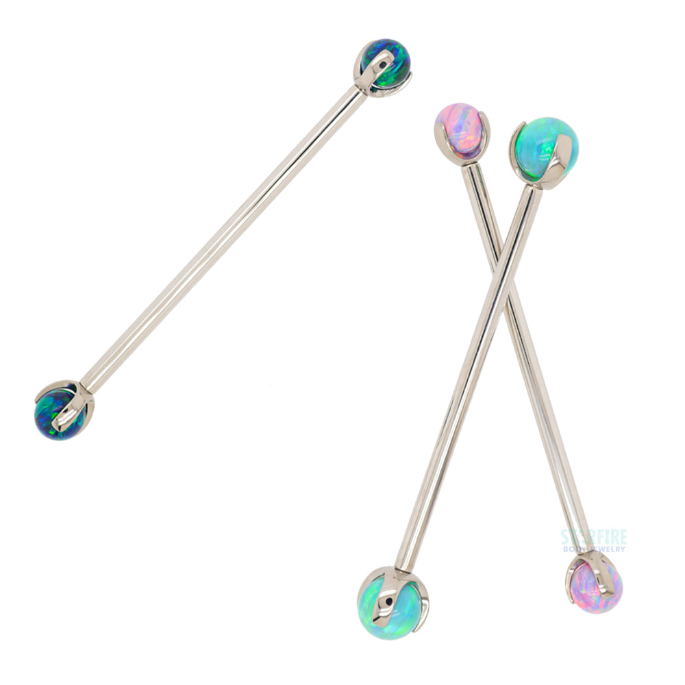Opal Ball in Prong's Industrial Barbell