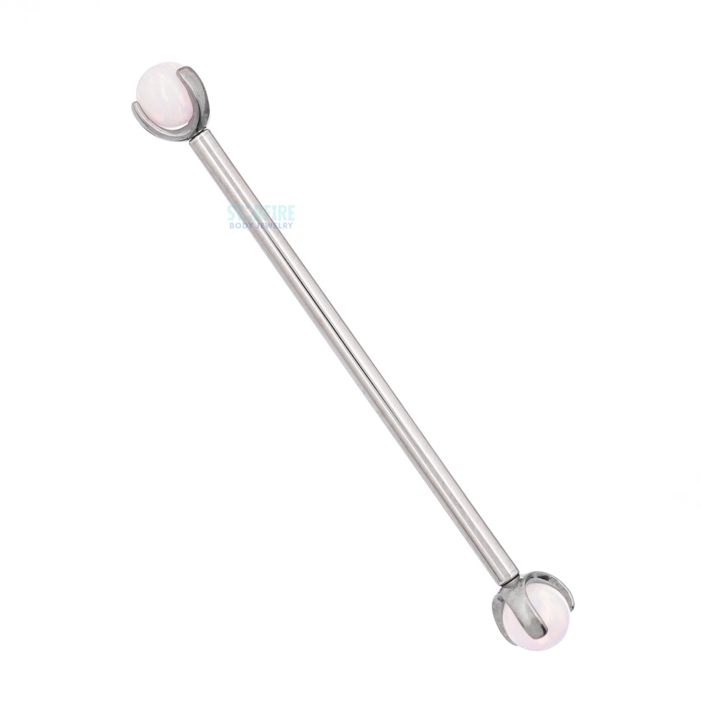 Opal Ball in Prong's Industrial Barbell