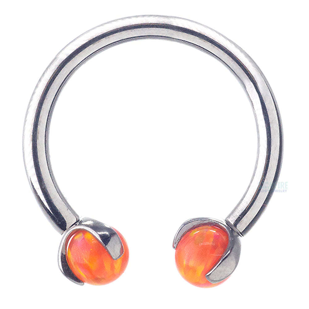 Circular Barbell with Opal Balls in Prong's