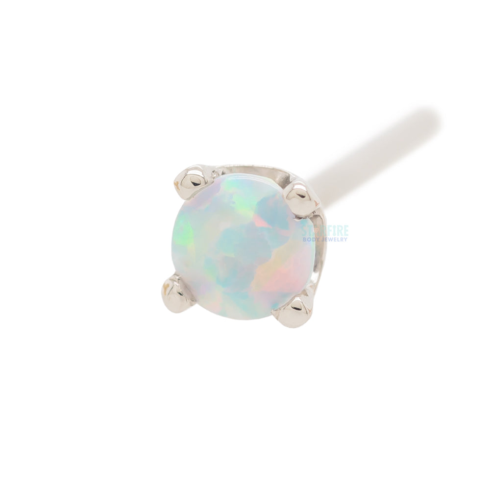 Four Prong Nostril Screw in Gold & Platinum with Faceted White Opal