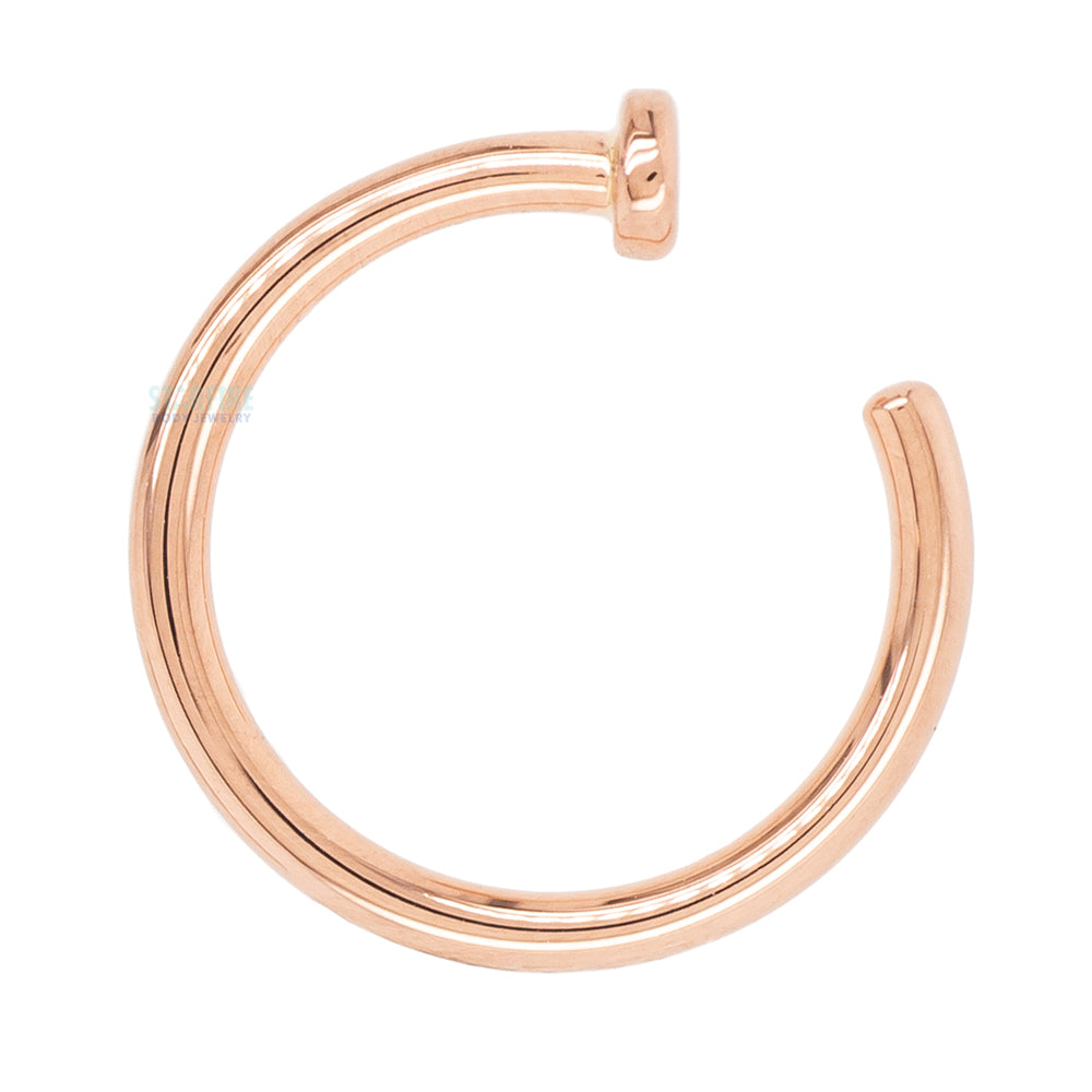 Nostril Nail Ring in Gold & Platinum