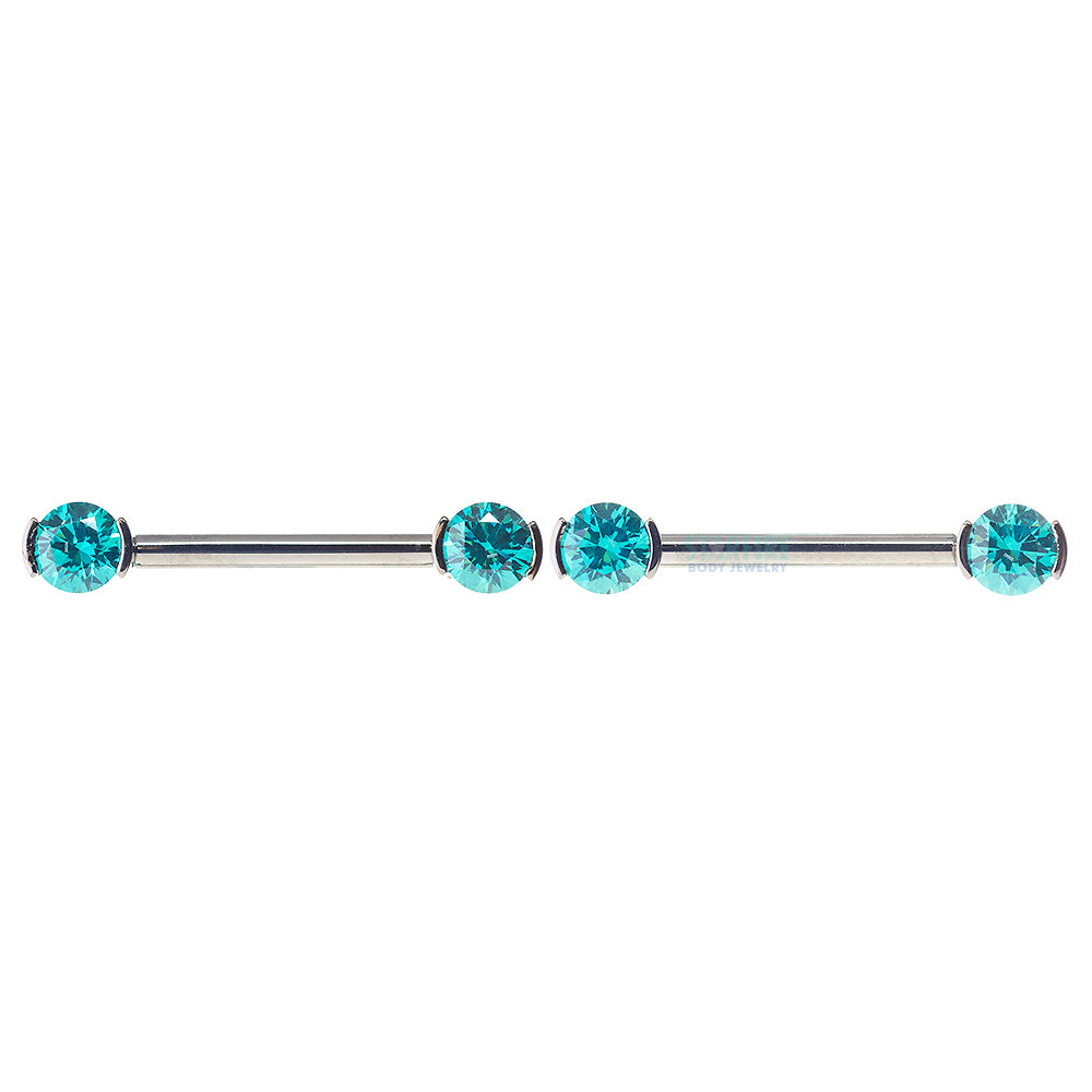 Faceted Gem Forward Facing Nipple Barbells in 2-Prong's - pair