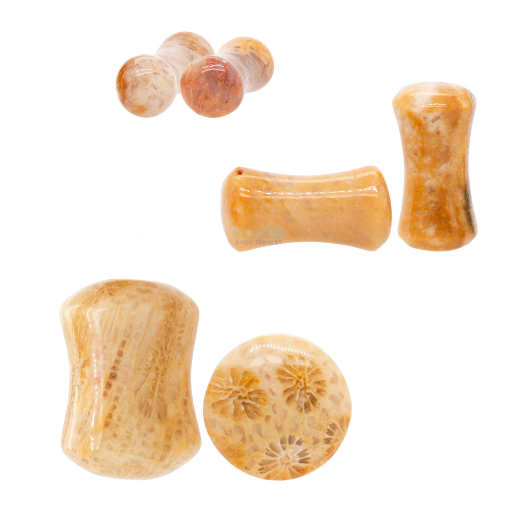 Stone Plugs - Fossilized Coral