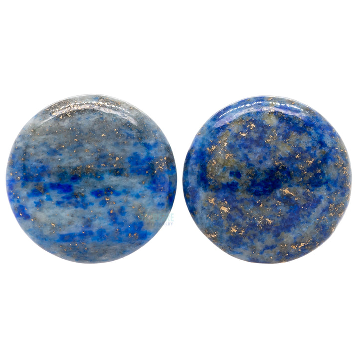 Stone Plugs - Lapis