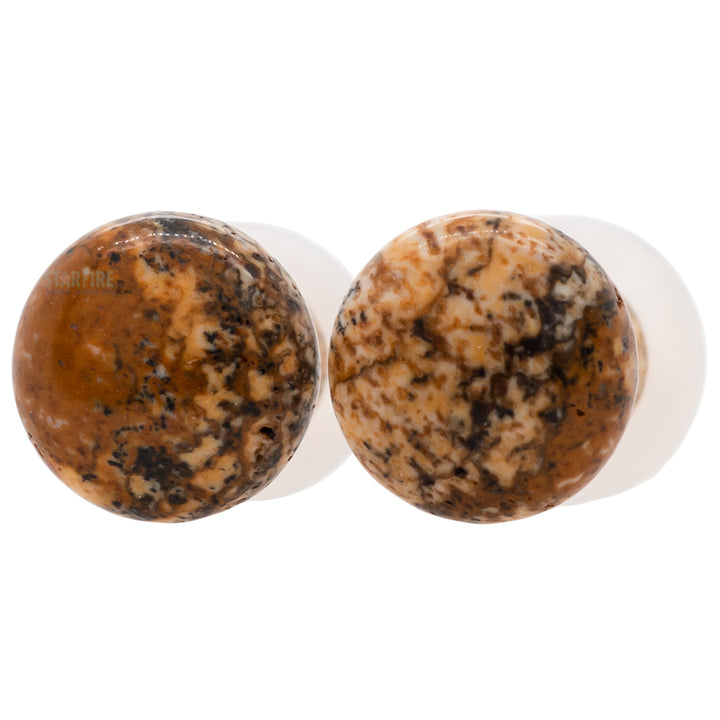 Stone Plugs - Picture Jasper