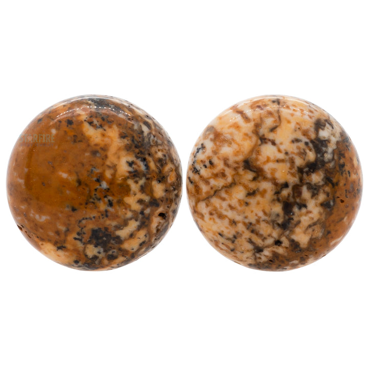 Stone Plugs - Picture Jasper