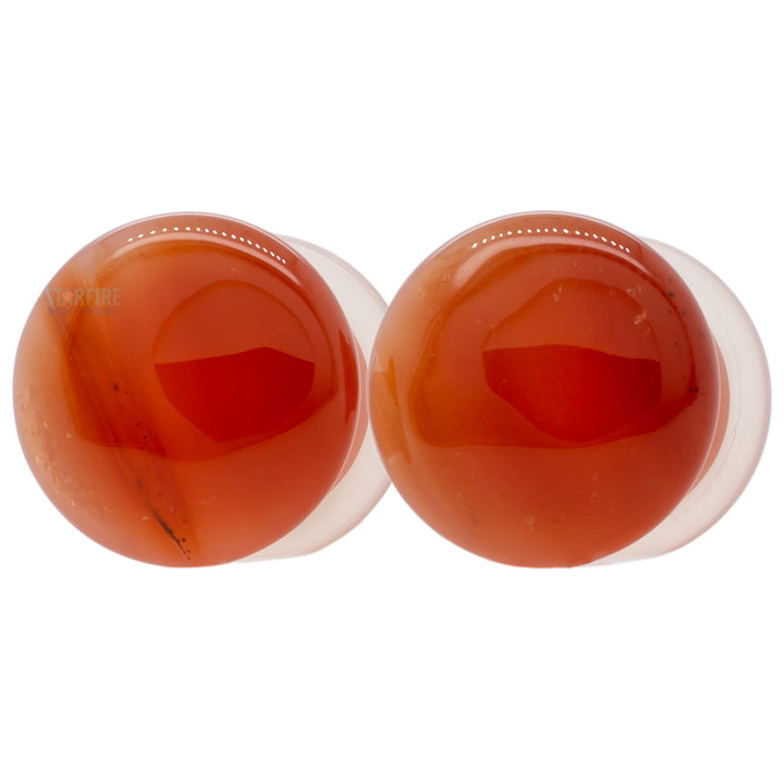 Stone Plugs - Thunder Egg Agate