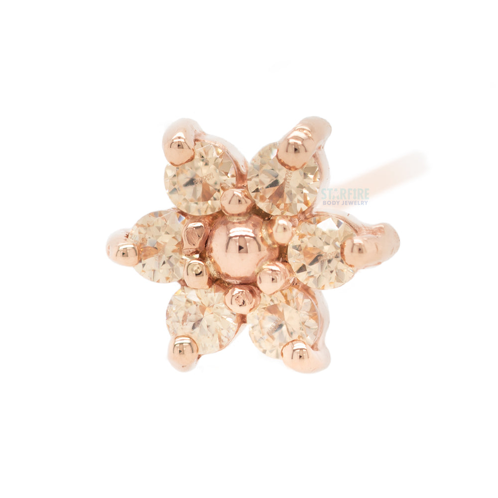 Flower #2 Nostril Screw in Gold with Champagne CZ's & a Gold Bead