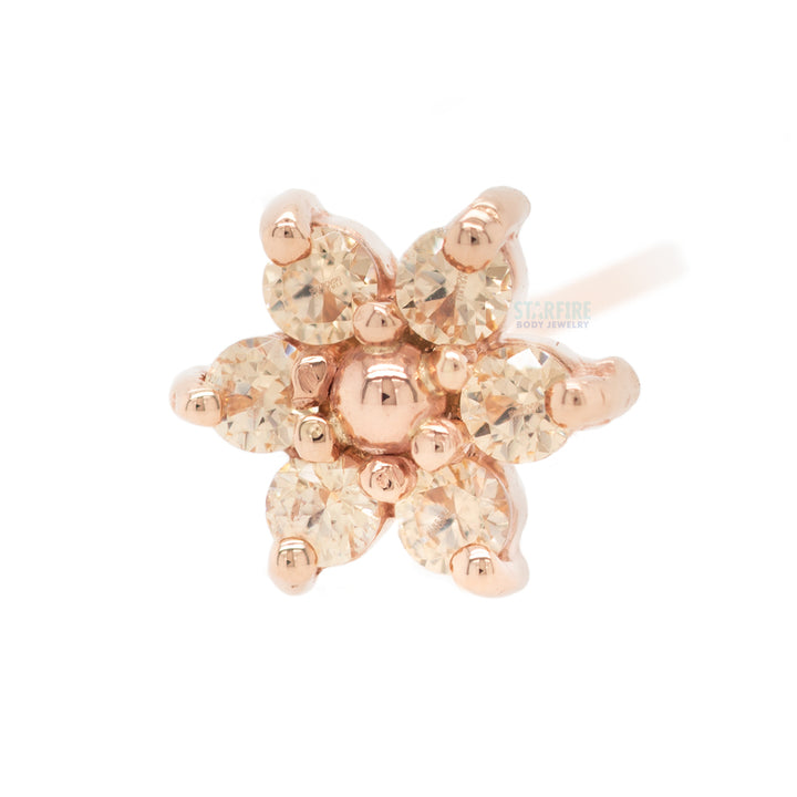 Flower #2 Nostril Screw in Gold with Champagne CZ's & a Gold Bead