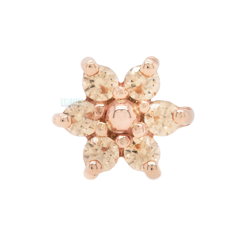 Flower #2 Nostril Screw in Gold with Champagne CZ's & a Gold Bead