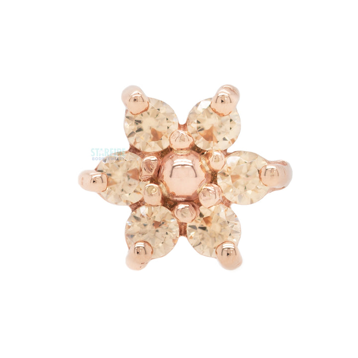 Flower #2 Nostril Screw in Gold with Champagne CZ's & a Gold Bead