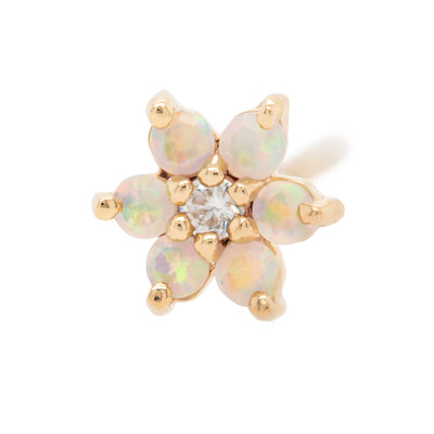 Flower #2 Nostril Screw in Gold with Faceted White Opals & White CZ
