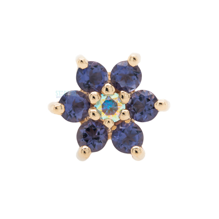 Flower #2 Nostril Screw in Gold with Iolite & Mercury Mist Topaz