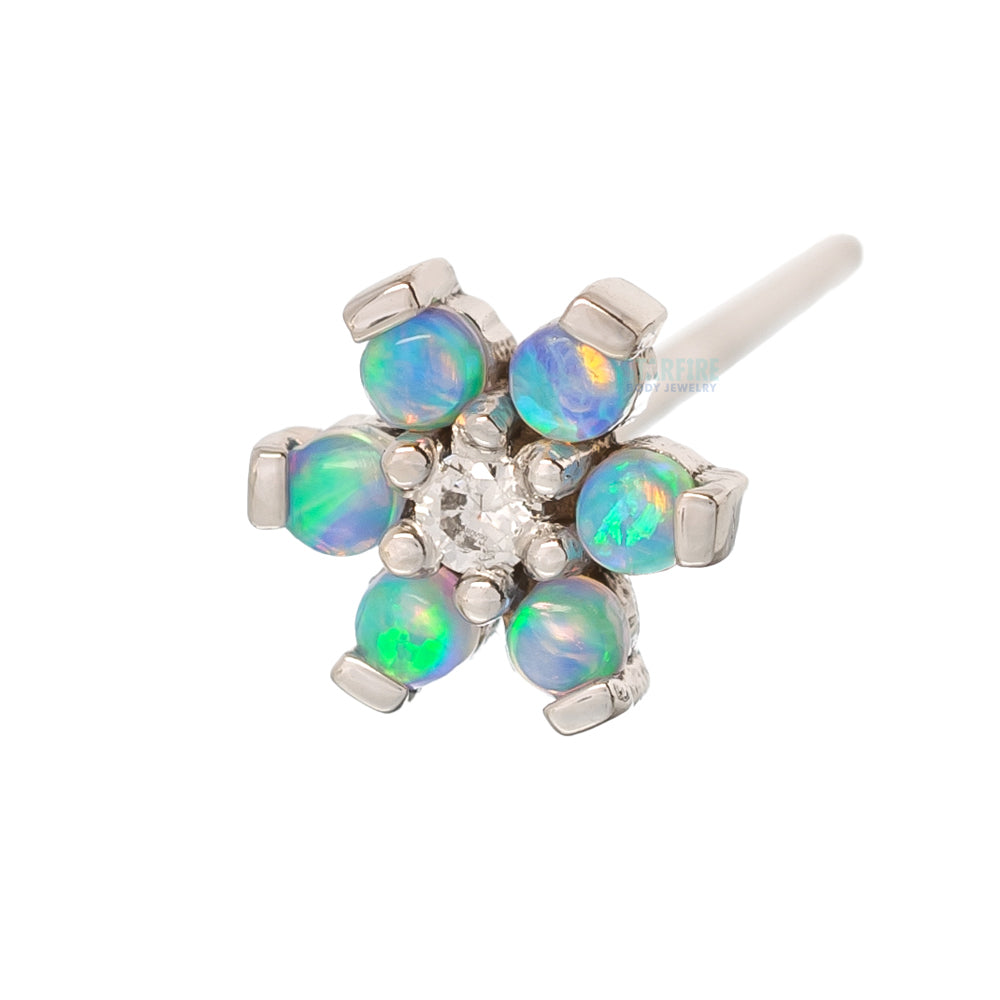 Flower #2 Nostril Screw in Gold with Baby Blue Cabochon Opals & White CZ