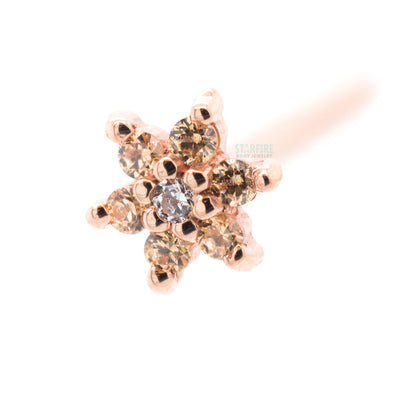 Flower #2 Nostril Screw in Gold with Champagne CZ's & White CZ