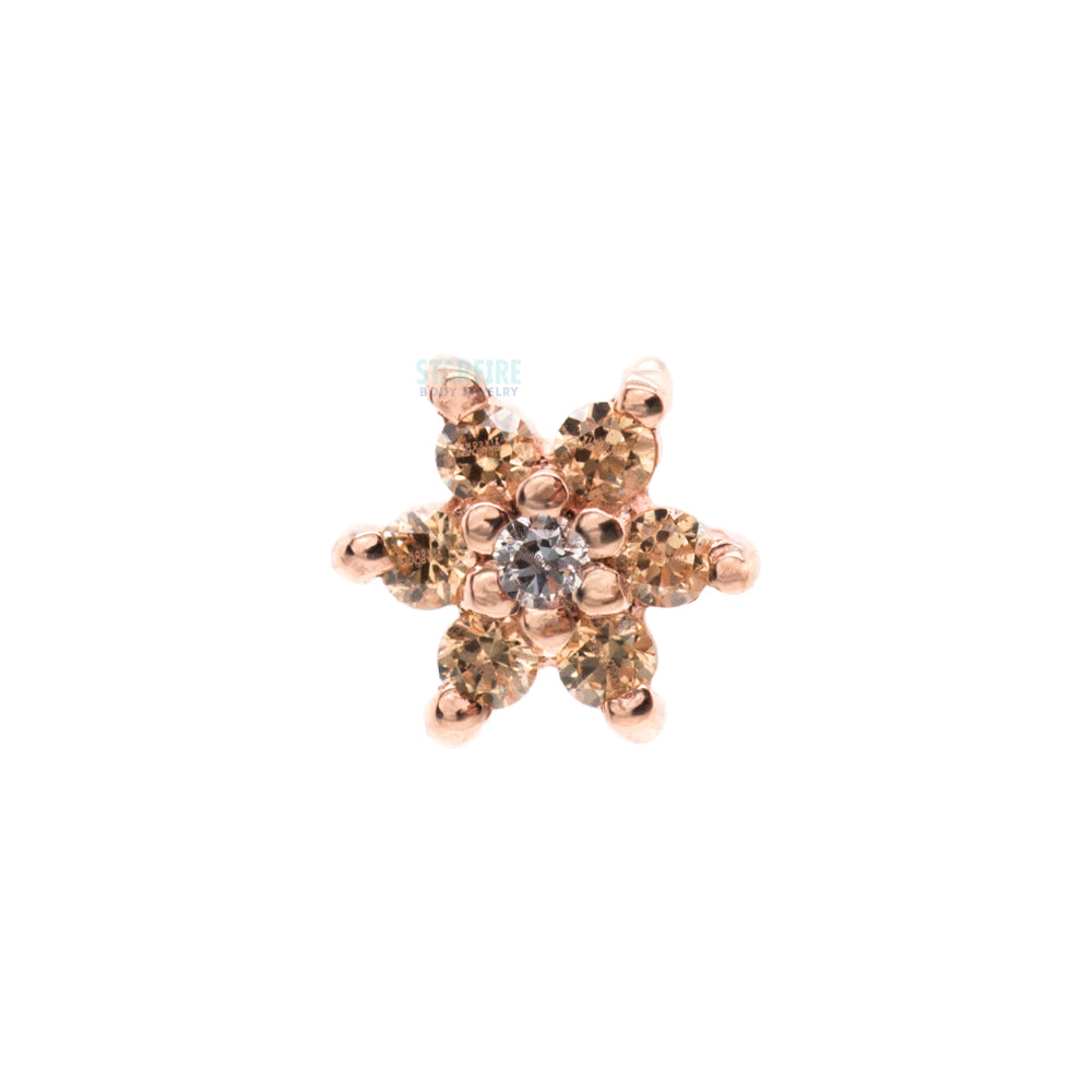 Flower #2 Threaded End in Gold with Champagne CZ's & White CZ
