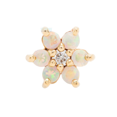 Flower #2 Nostril Screw in Gold with Faceted White Opals & White CZ
