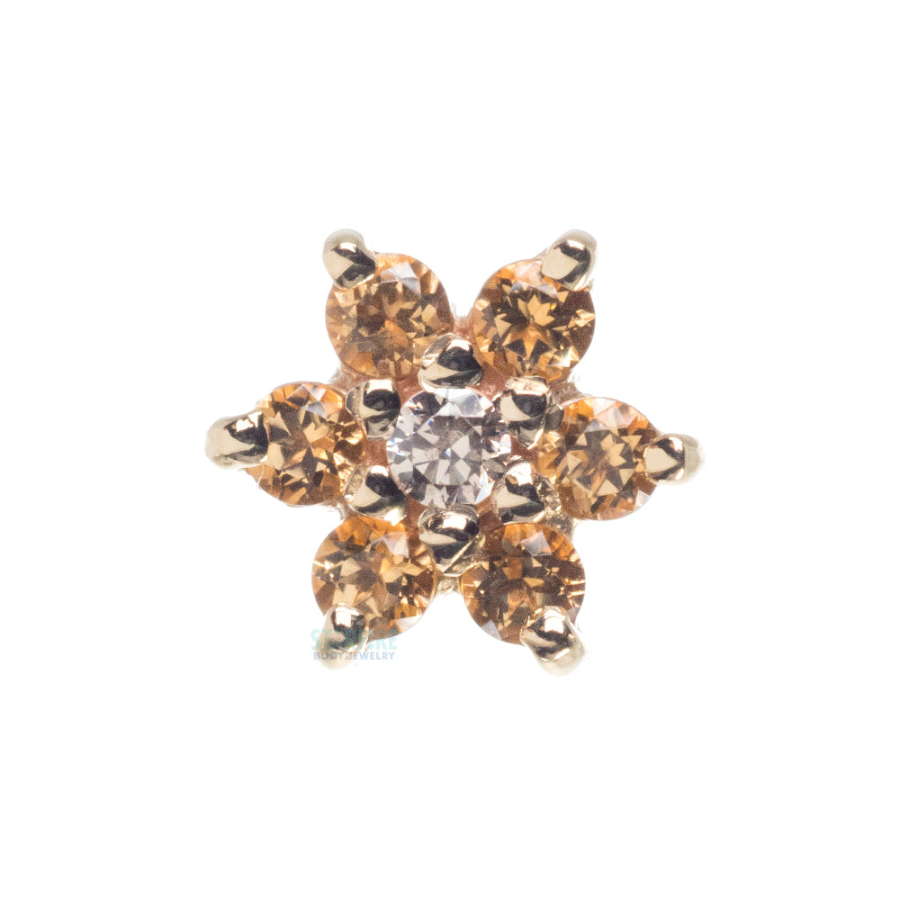 Flower #2 Nostril Screw in Gold with Honey Topaz' & Champagne CZ
