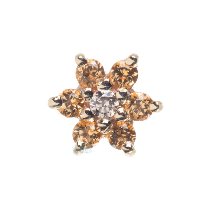 Flower #2 Nostril Screw in Gold with Honey Topaz' & Champagne CZ