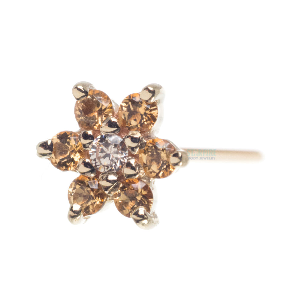 Flower #2 Nostril Screw in Gold with Honey Topaz' & Champagne CZ