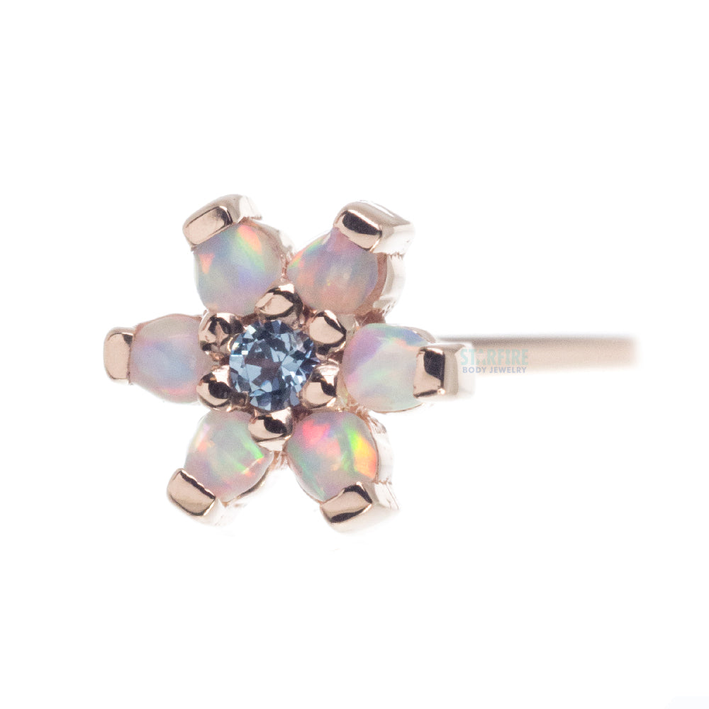 Flower #2 Nostril Screw in Gold with White Cabochon Opals & a Light Blue CZ