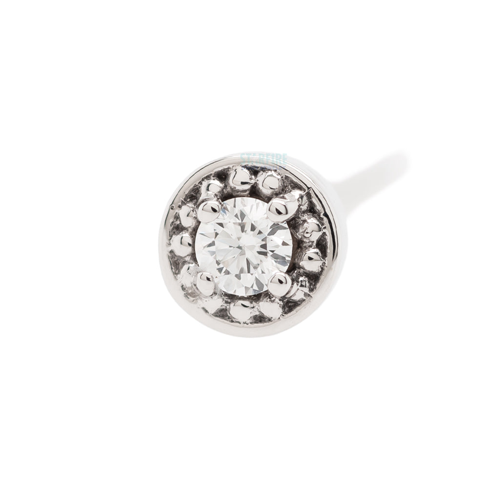 Milgrain Prong Nostril Screw in Gold with DIAMOND