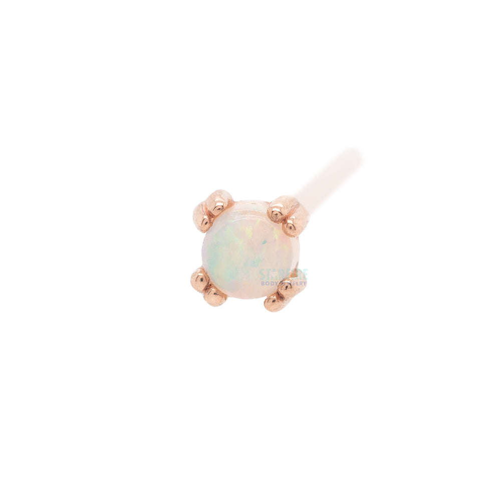 Genuine White Opal Cabochon Prong Set Nostril Screw in Gold