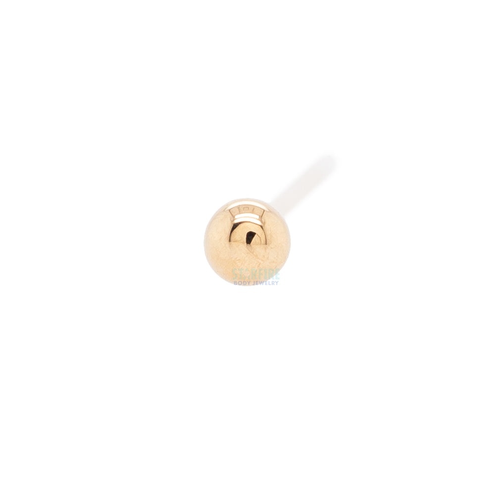 Bead Nostril Screw in Gold & Platinum