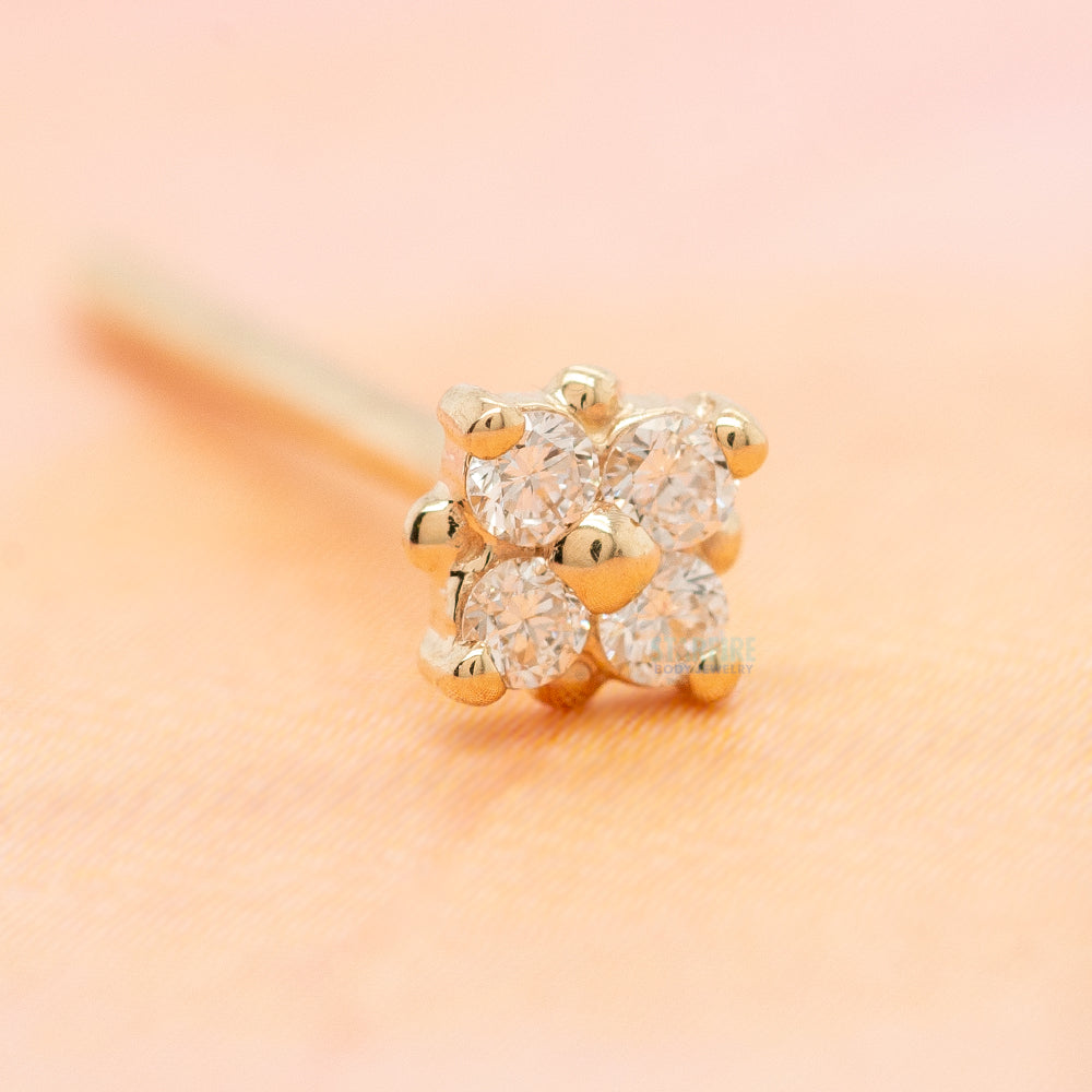 "Reema" Nostril Screw in Gold & Platinum with DIAMONDS