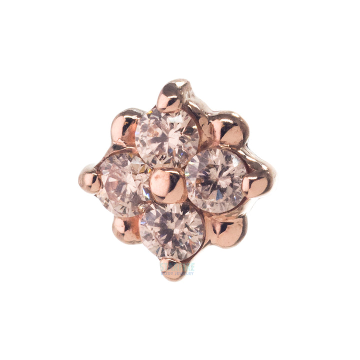 "Reema" Threaded End in Gold & Platinum with Champagne CZ's