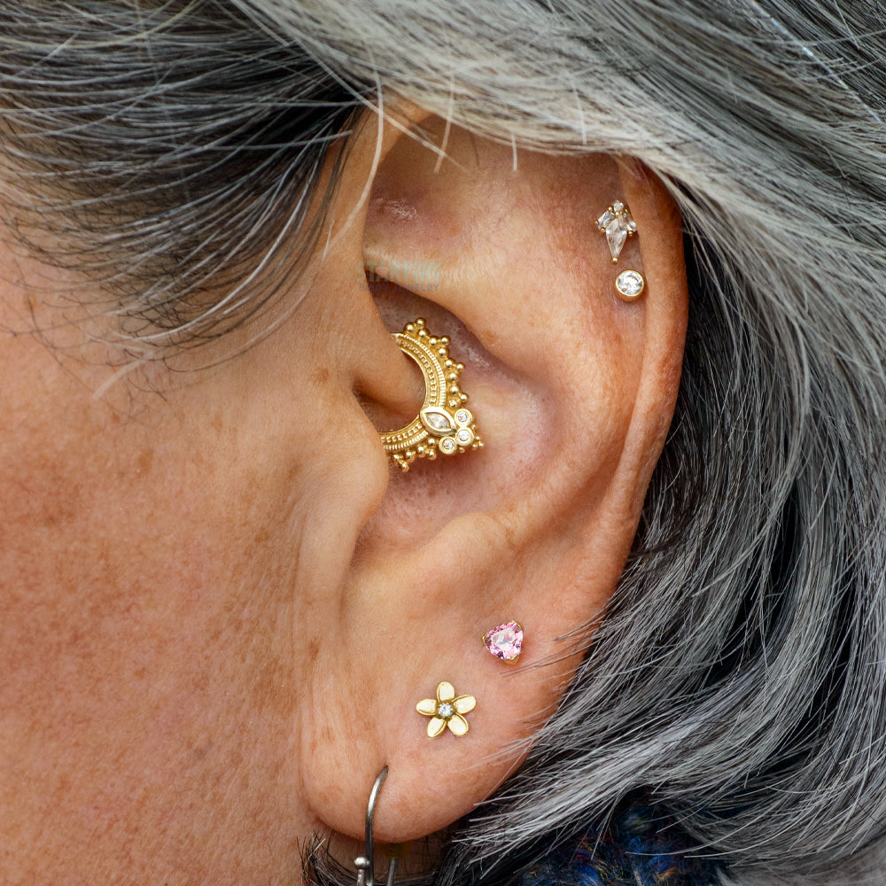 Bvla Daith Piercing Jewelry Near Me Bvla Bee Daith Bvla Daith