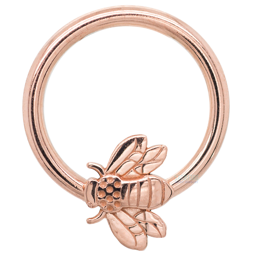 Bee Gold Captive Bead Ring (CBR)